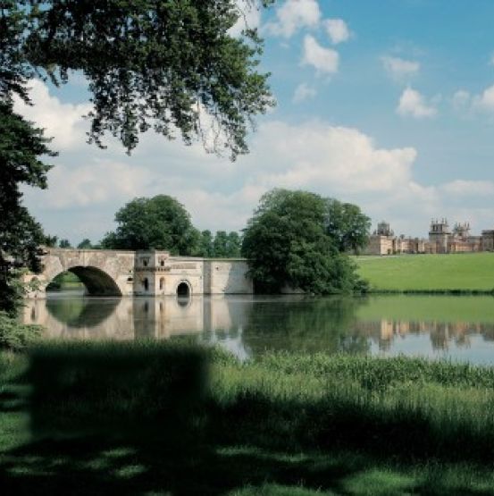 Blenheim Palace Flower Show