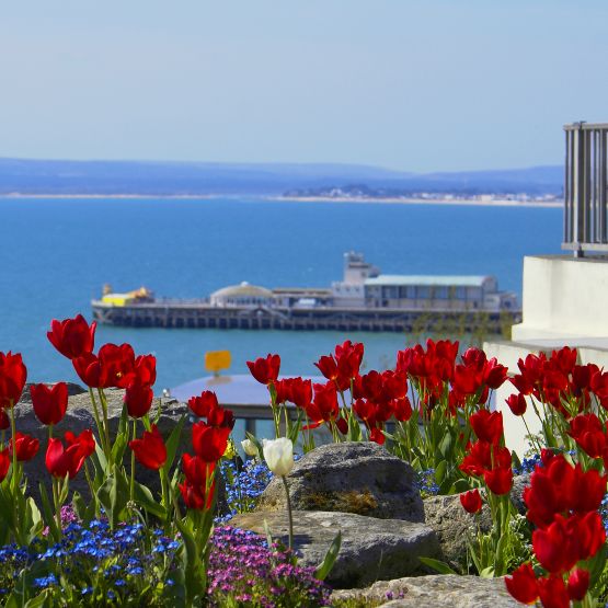 isitengland_bournemouth_tourism